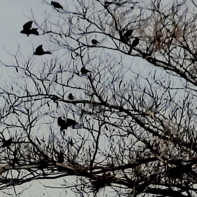 Прогнозы погоды с чудесными фотографиями, сделанными Ghostroku