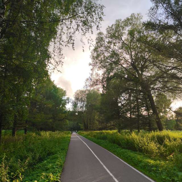 GREENE. Weather forecasts with beautiful photos by Amanda_and_Valdemar_Che Photos in Izmaylovo District