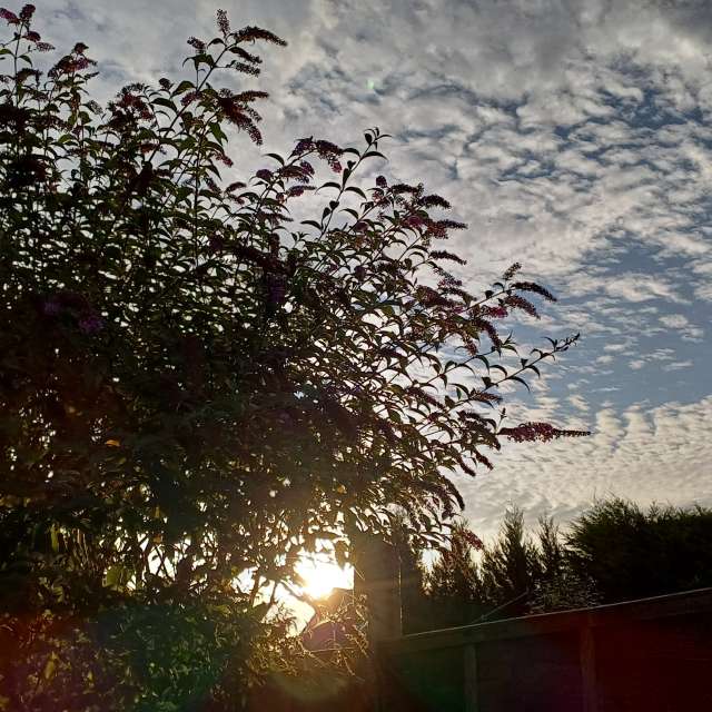 Photos Signe. Prévisions météo avec de superbes photos de Lolli de Maidstone