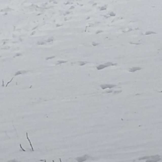 Прогнозы погоды с чудесными фотографиями, сделанными Awcat