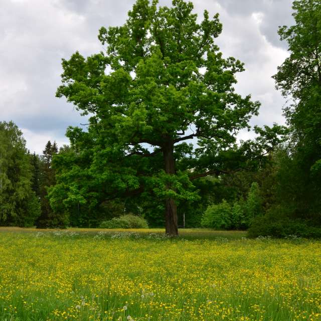 Pronósticos del tiempo con hermosas fotos de Andrey72
