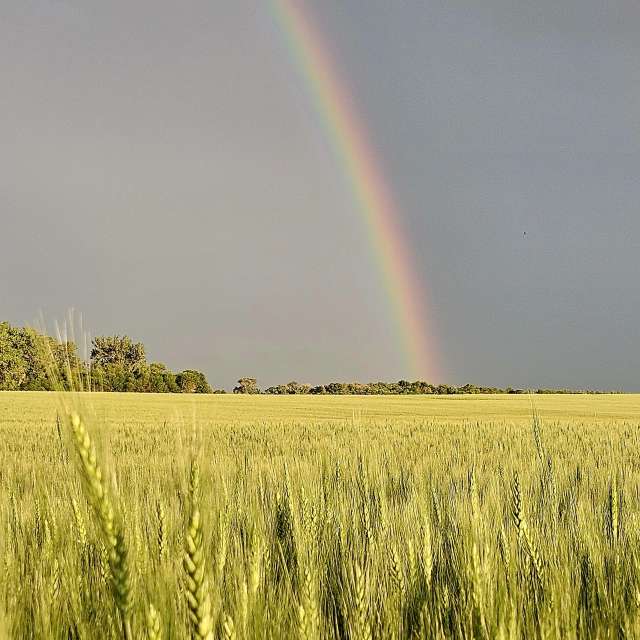 Prévisions météo avec de superbes photos de Jd2024