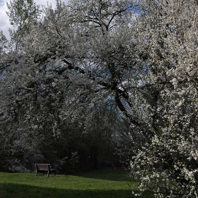 Fotos Grande. Previsões do tempo com lindas fotos de Vasek325 em Praha 4