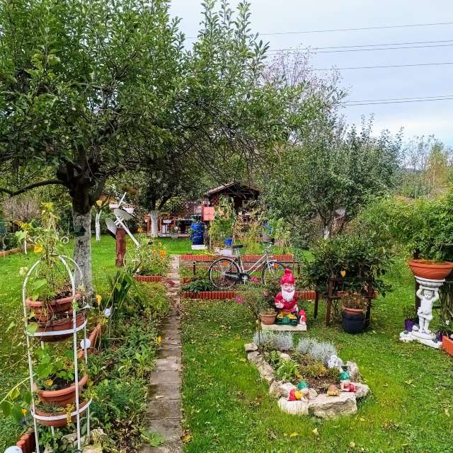 Park. Wettervorhersagen mit schönen Fotos von Kripo Fotos Ladek Zdroj