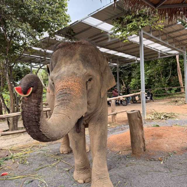 Zoo. Weather forecasts with beautiful photos by Alexаndr Photos in World