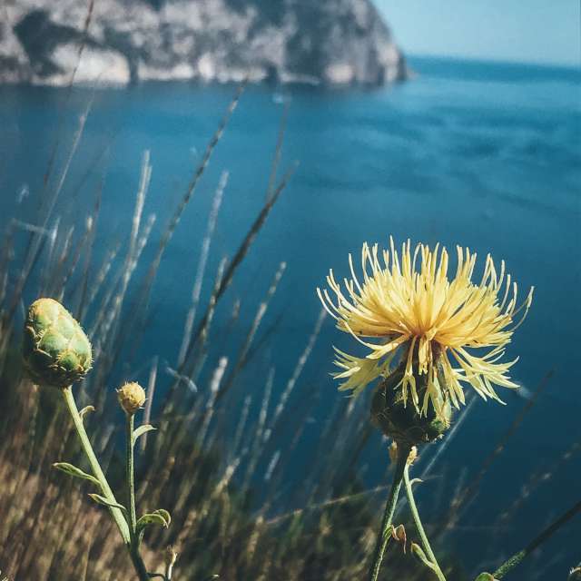 Weather forecasts with beautiful photos by Echtge