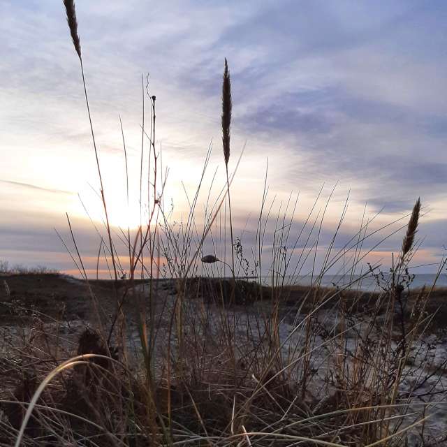 Weather forecasts with beautiful photos by Aleks39rus