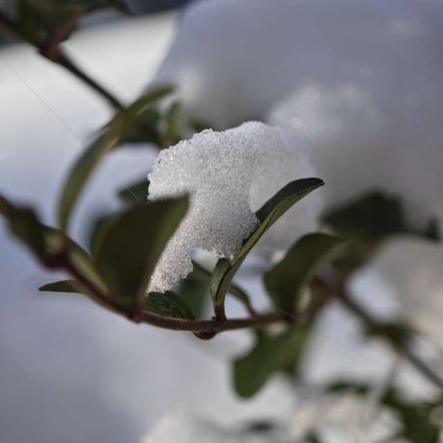 Pronósticos del tiempo con hermosas fotos de Fabri