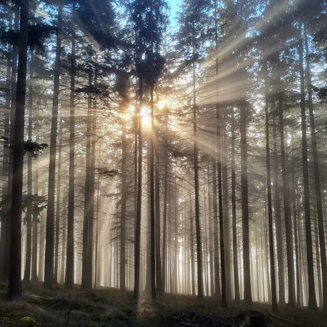 Prévisions météo avec de superbes photos de hejpetrpepa