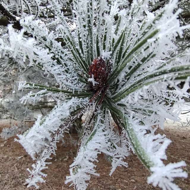 Fotos Clima. Previsões do tempo com lindas fotos de drollted em Česká Třebová