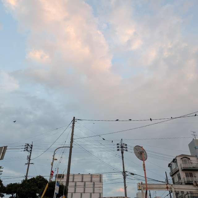 Fotos Arame. Previsões do tempo com lindas fotos de あさのジジ em Okayama