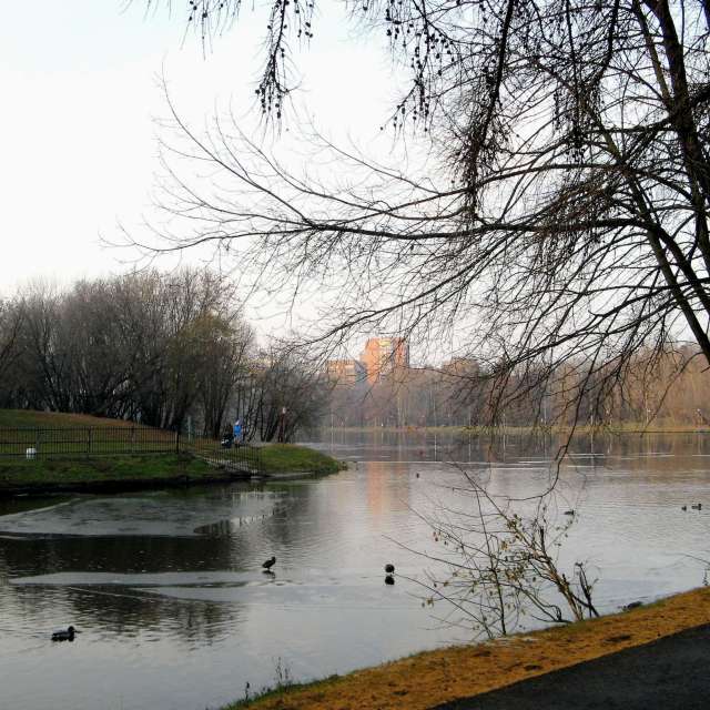 天气预报，带19Lora46精美的照片