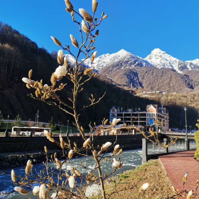 Gras. Wettervorhersagen mit schönen Fotos von Albert_Smelovtsev Fotos Roza Khutor