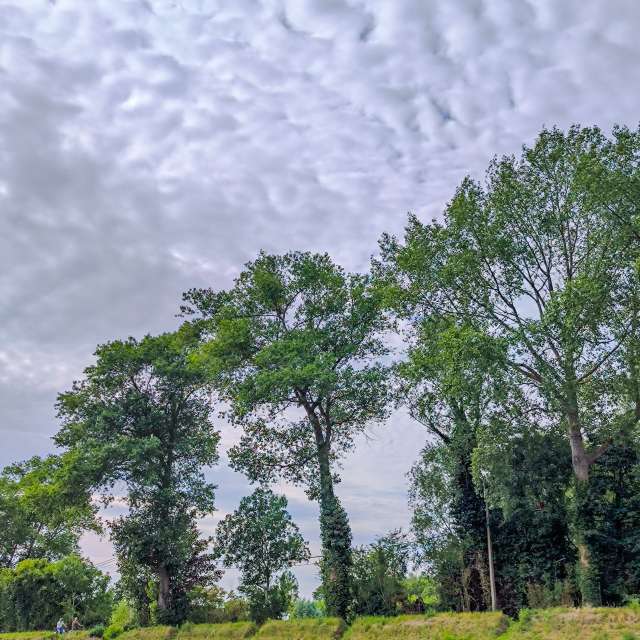 Weather forecasts with beautiful photos by agOost