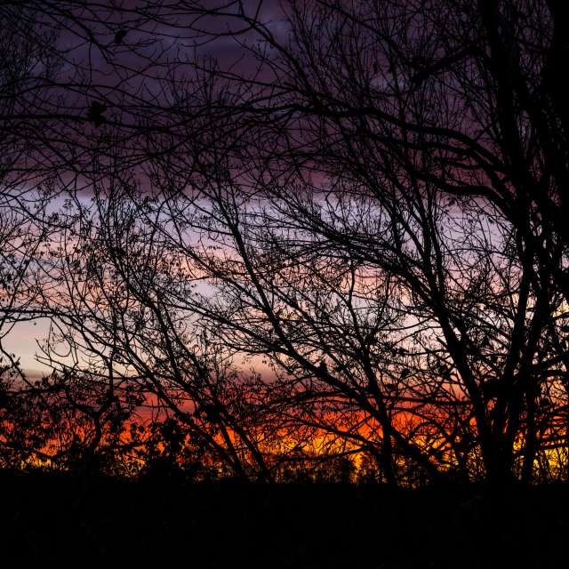 krantzjhの美しい写真による天気予報