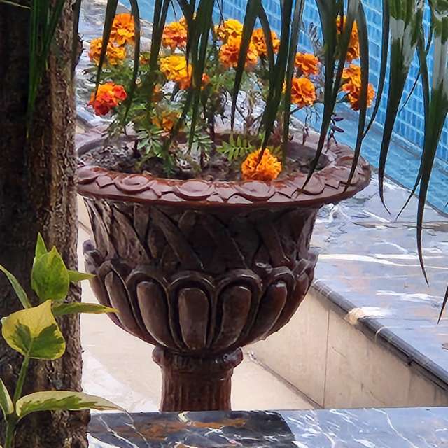 天气预报，带Rukh-08-08精美的照片