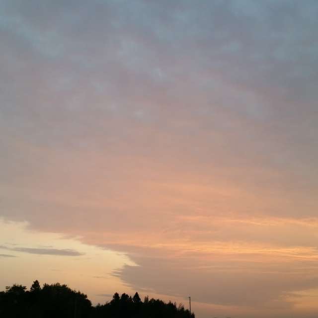 AnnaHakesの美しい写真による天気予報