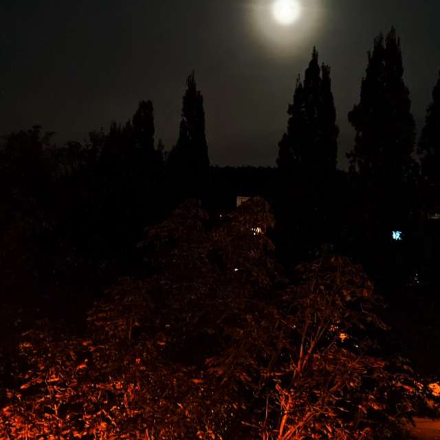 Night. Weather forecasts with beautiful photos by Tercis Photos in Ettlingen