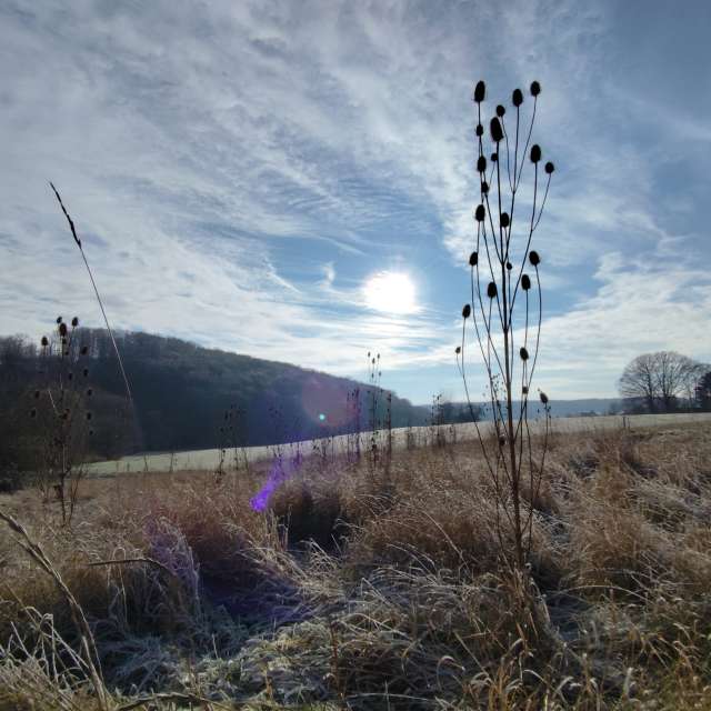 天气预报，带Brtd精美的照片