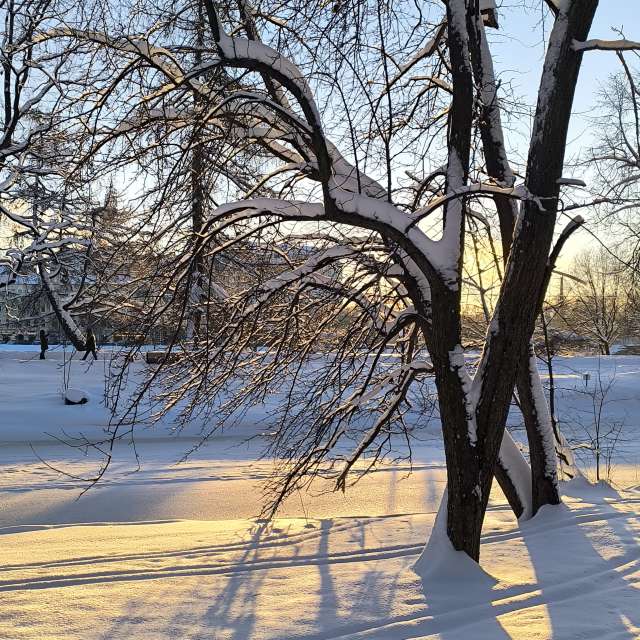 Прогнозы погоды с чудесными фотографиями, сделанными Jea