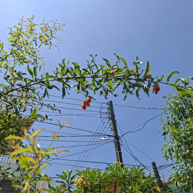 Fotos Rua. Previsões do tempo com lindas fotos de Wen-ya Huang em Kaohsiung City