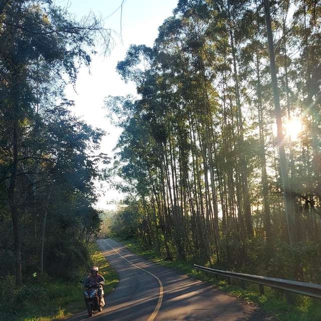 Pronósticos del tiempo con hermosas fotos de catiams