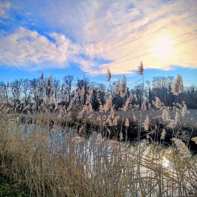 Wettervorhersagen mit schönen Fotos von Kripo