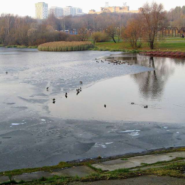 天气预报，带19Lora46精美的照片