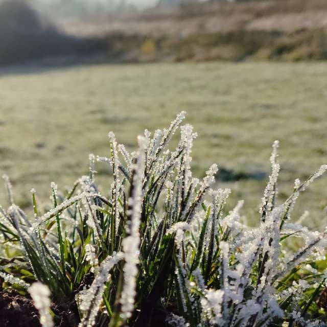 天气预报，带Brtd精美的照片