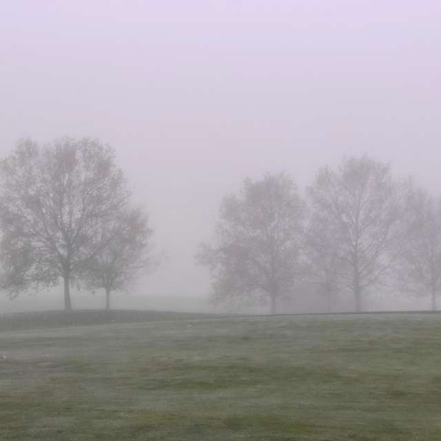 Weide. Wettervorhersagen mit schönen Fotos von Kripo Fotos Niederösterreich