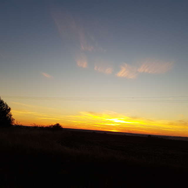 天气预报，带andreyfetisov精美的照片