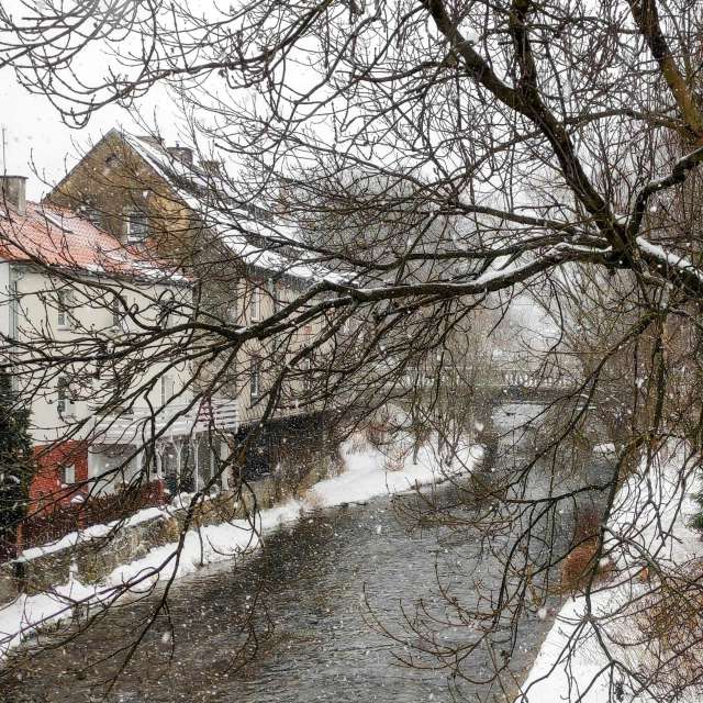 Wald. Wettervorhersagen mit schönen Fotos von Kripo Fotos Ladek Zdroj