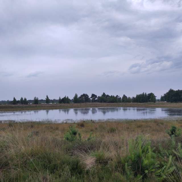 Prévisions météo avec de superbes photos de Rosaja