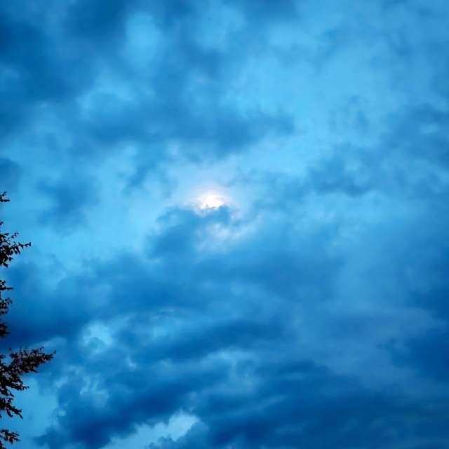 Prévisions météo avec de superbes photos de BJTHinSC