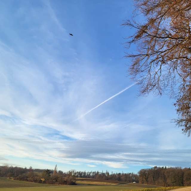 天气预报，带aida-khaldi精美的照片