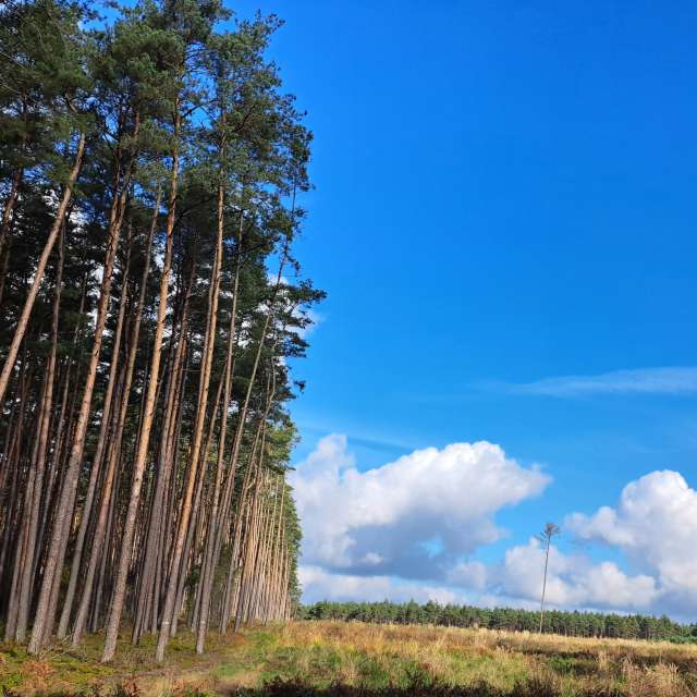 Прогнозы погоды с чудесными фотографиями, сделанными Arturo