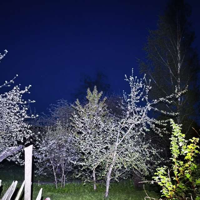 Riding. Weather forecasts with beautiful photos by Valiukas Photos in Lithuania