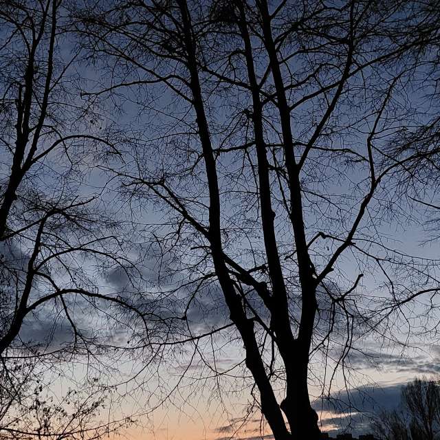 Contrasting. Weather forecasts with beautiful photos by Iryna Photos in Kharkiv