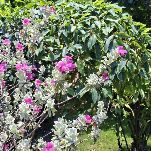 Photos Banc.banc. Prévisions météo avec de superbes photos de Wen-ya Huang de Kaohsiung