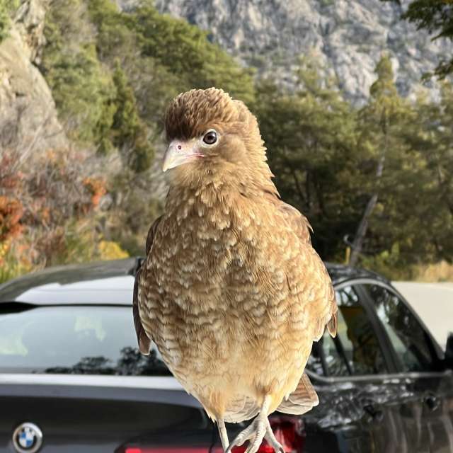 Weather forecasts with beautiful photos by Maria Paulina Bustamante Arria