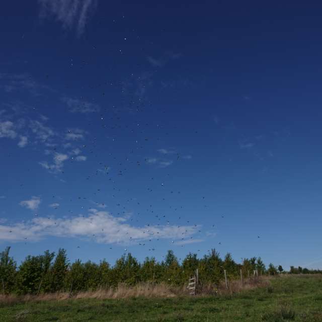 Fotos Grama. Previsões do tempo com lindas fotos de Vasek325 em Praha 5