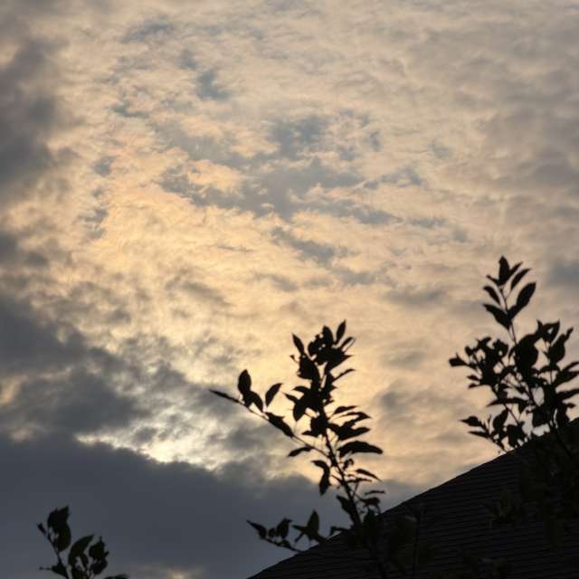 Weather forecasts with beautiful photos by Lulu5523