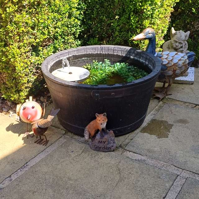 Photos Tableau. Prévisions météo avec de superbes photos de Lolli de Maidstone