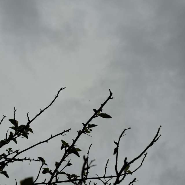 Wire. Weather forecasts with beautiful photos by Wen-ya Huang Photos in Kaohsiung City