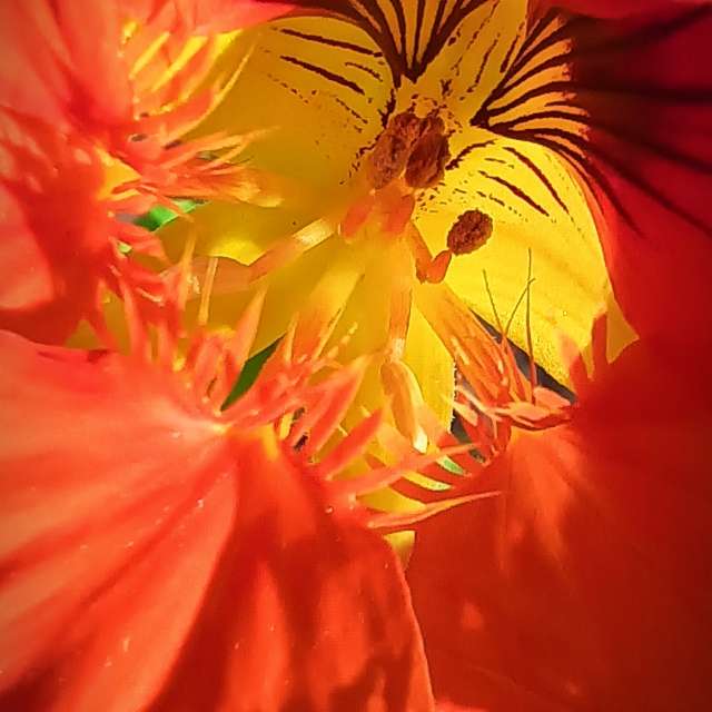 Прогнозы погоды с чудесными фотографиями, сделанными RUMBASTER