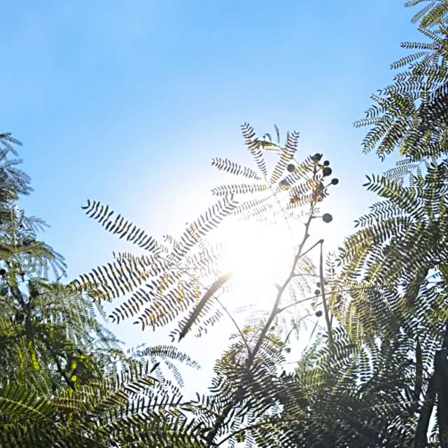 Previsões do tempo com lindas fotos de Takimi-sky