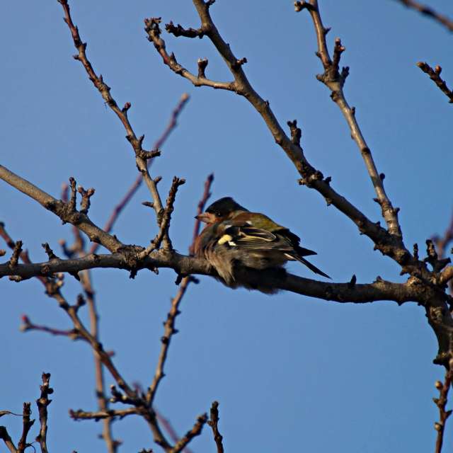 Weather forecasts with beautiful photos by tony5636