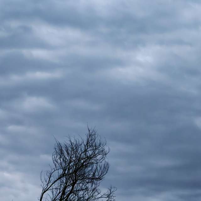 Prévisions météo avec de superbes photos de MSLidon