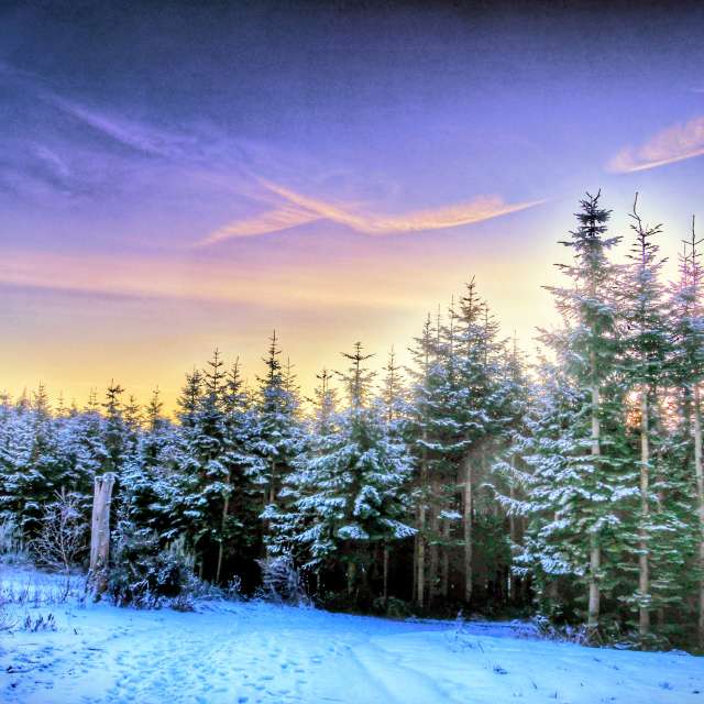 Weather forecasts with beautiful photos by Lotti5507