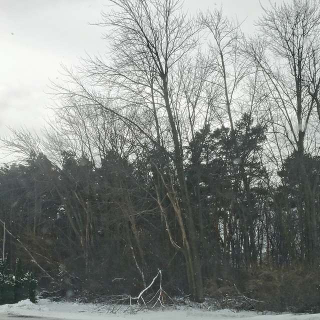 天气预报，带Zim Lotsa精美的照片